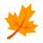 AIPP Maple leaf immigration