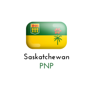 SINP Flag