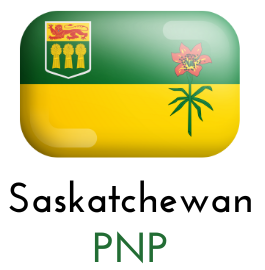 SINP Flag