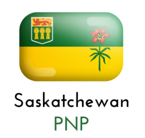 SINP Flag