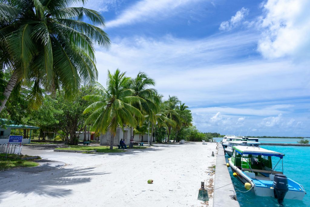 A scenic view of a tropical island beach with palm trees and boats docked along the shore.