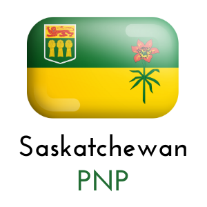 SINP Licensed Consultant